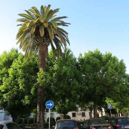 Patios De San Pedro Daire Cordoba Dış mekan fotoğraf