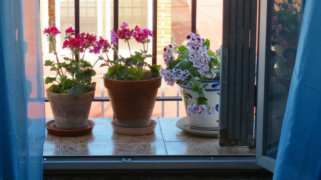 Patios De San Pedro Daire Cordoba Dış mekan fotoğraf