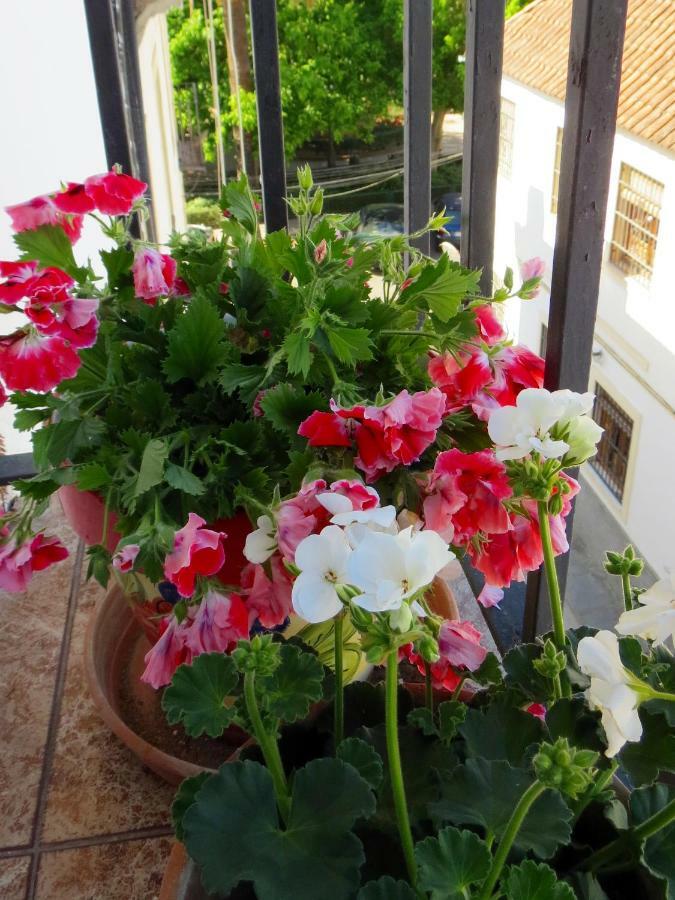 Patios De San Pedro Daire Cordoba Dış mekan fotoğraf