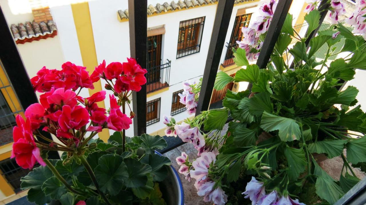 Patios De San Pedro Daire Cordoba Dış mekan fotoğraf