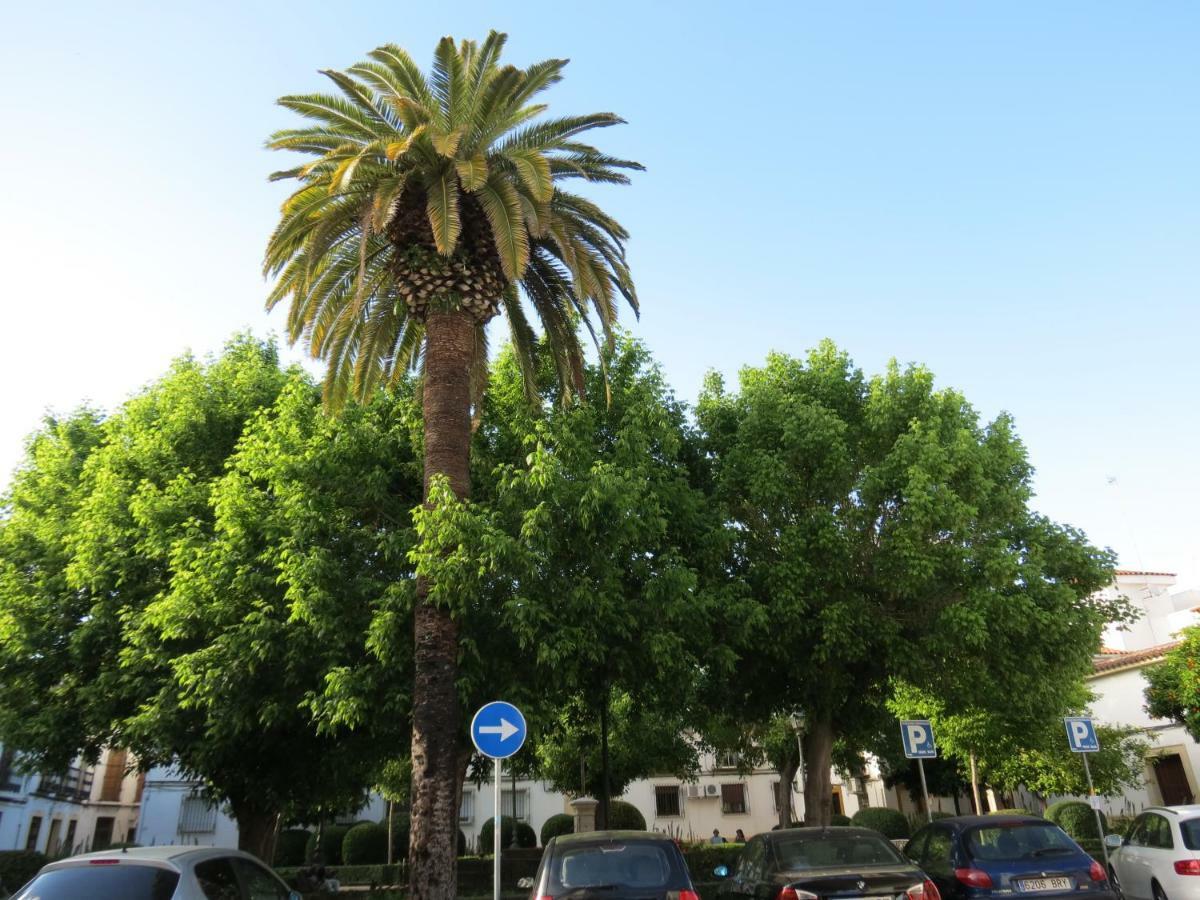 Patios De San Pedro Daire Cordoba Dış mekan fotoğraf